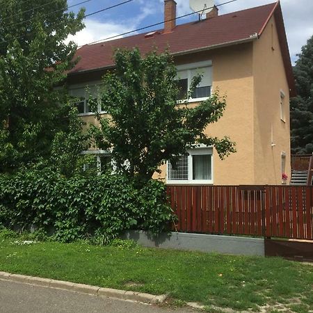 Big Apartman Hajduszoboszlo Bagian luar foto
